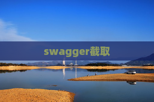 swagger截取